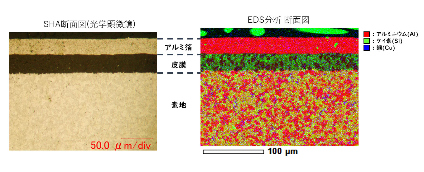 EDS分析 断面図